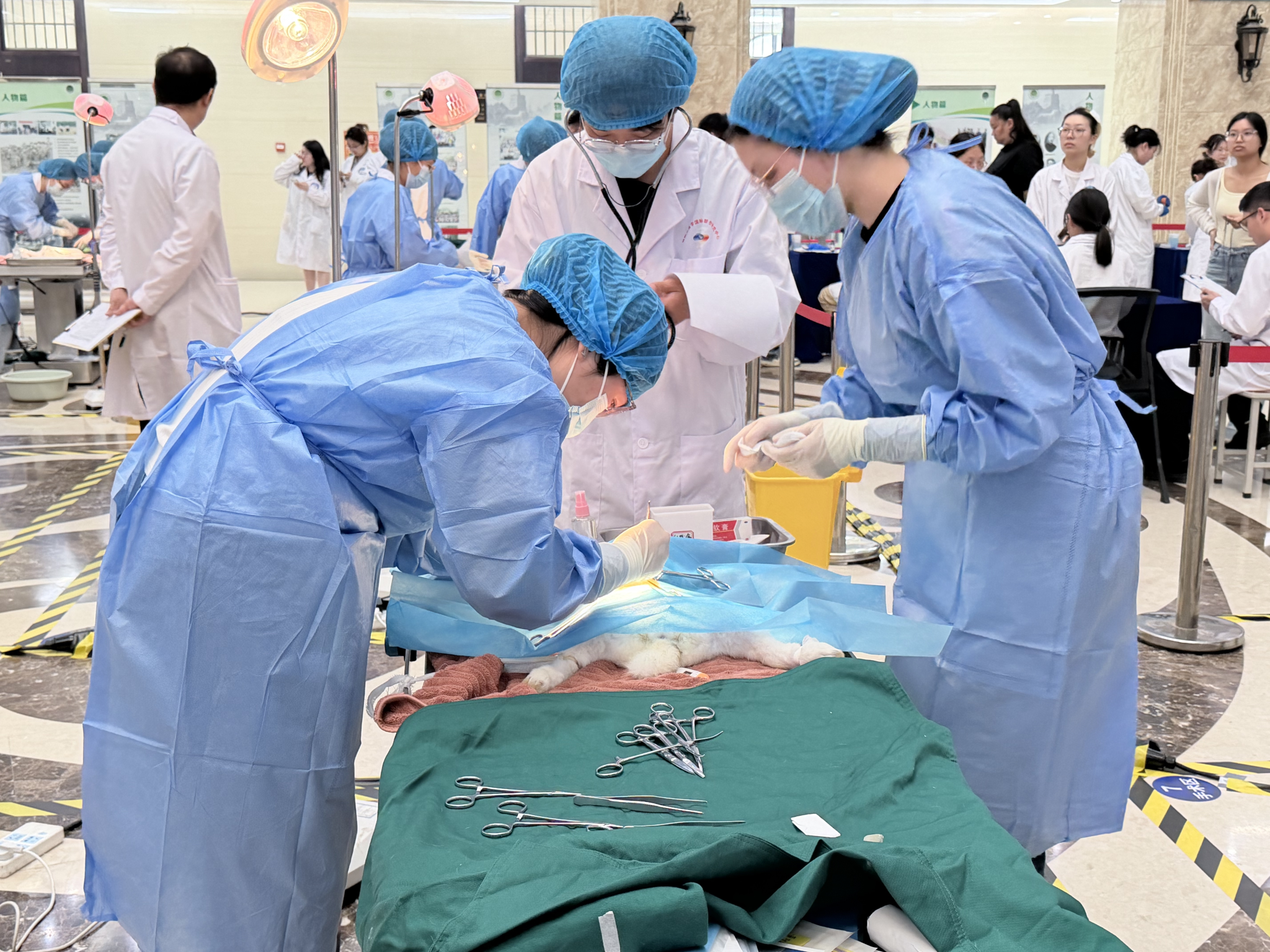 6C22C6